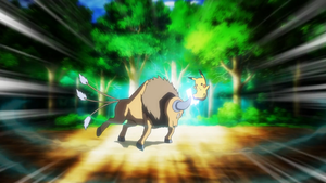 Tauros de Hayden usando Ataque de Cuerno/Cornada.