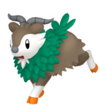 Skiddo macho