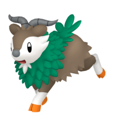 Skiddo macho