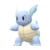 Wartortle DBPR.png