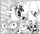Ponyta