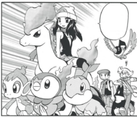 Turtwig, Chimchar y Piplup en la saga Diamante y Perla.