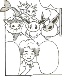 PMZ04 Eevee junto con sus evoluciones.png