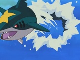 Sharpedo