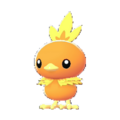 Imagen de Torchic macho en Leyendas Pokémon: Z-A