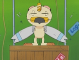 Imagen de Wingull
