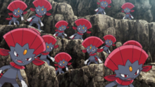 Weavile usando doble equipo.
