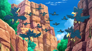 EP1049 Murkrow.png