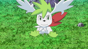 EP637 Shaymin forma cielo.png