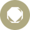 Tipo roca icono HOME 3.0.0.png
