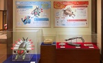 Exhibición de Anorith