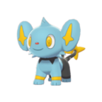 Shinx