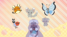 Minccino