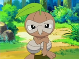 Nuzleaf