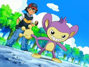 EP510 Ash y Aipom.png