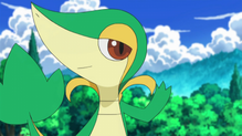 Snivy