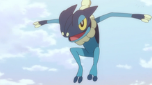 Frogadier