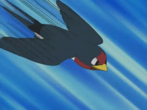 Taillow usando picotazo.
