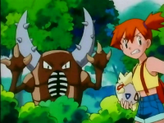 Pinsir