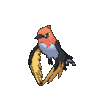 Imagen de Fletchinder en Pokémon X, Pokémon Y, Pokémon Rubí Omega, Pokémon Zafiro Alfa, Pokémon Sol, Pokémon Luna, Pokémon Ultrasol y Pokémon Ultraluna