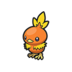 Torchic
