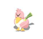 Blandepuerro variocolor