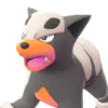 Icono de Houndour en Leyendas Pokémon: Z-A