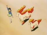 Ponyta