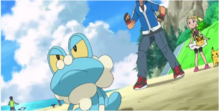 Wooper