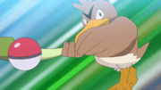 EP1109 Farfetch'd.png