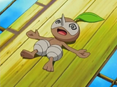 Nuzleaf