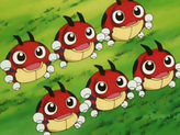 Ledyba