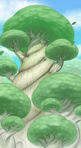 Ilustraciñon del Bosque Blanco, lugar exclusivo para Pokémon Blanco.