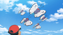 Butterfree
