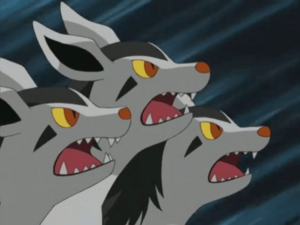 Mightyena usando Mordida/Mordisco.
