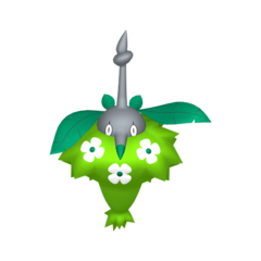 Wormadam planta