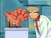 Vulpix
