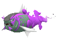 Imagen de Basculegion variocolor macho en Pokémon Escarlata y Pokémon Púrpura