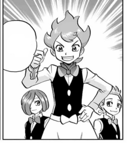 Cilan/Millo