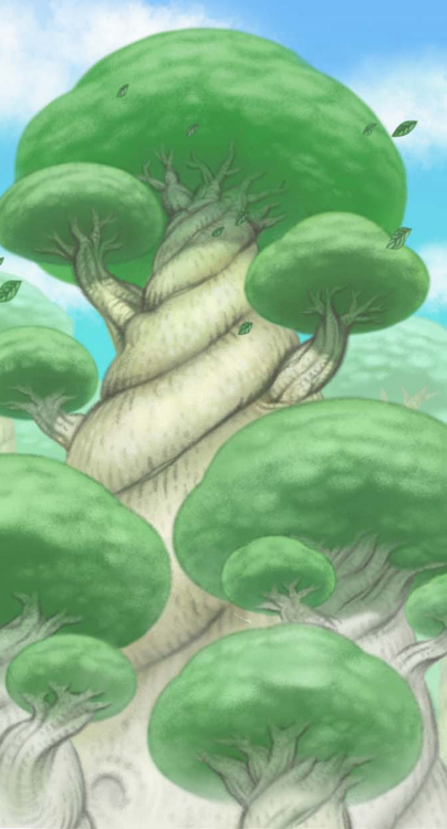 Imagen de Bosque Blanco