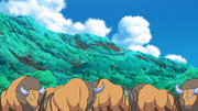 EP1013 Tauros.png