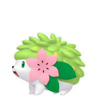 Shaymin tierra