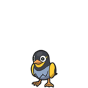 Icono de Wattrel en Pokémon Escarlata y Púrpura
