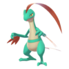 Grovyle EpEc variocolor.png