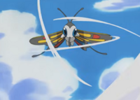 Beautifly usando tornado.