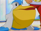 Pelipper
