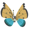 Vivillon oasis