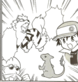 Arcanine en PMZ08