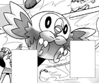 Rowlet en Daisuki! Pokémon Battle