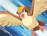 Imagen de Pidgeot